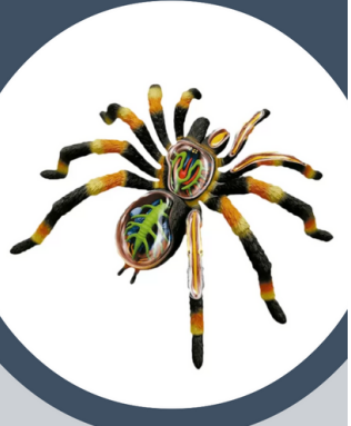 MATERIAL DE ENSEÑANZA MODELO ANATOMICO  DE LA TARANTULA